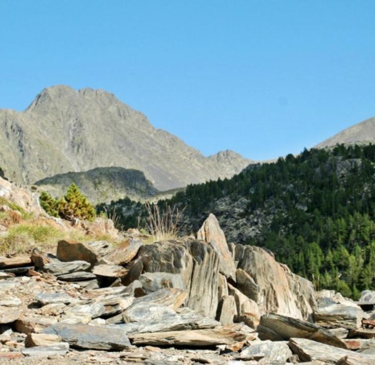 Logement Cosy Au Pied Des Pistes サン・ピエール・デル・フォルサ エクステリア 写真